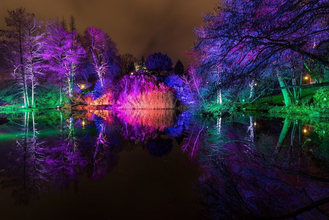 Winter Lights At The Palm Garden