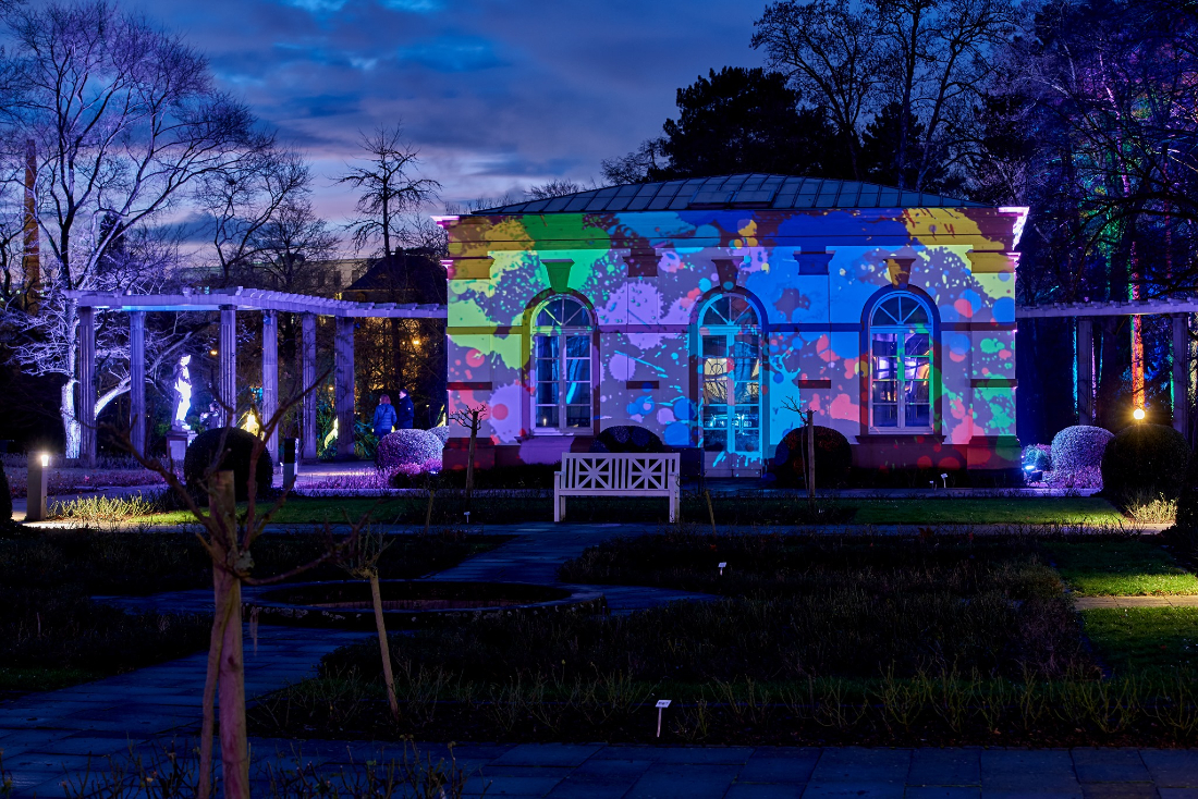 Winter Lights At The Palm Garden