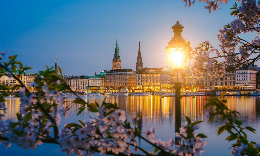 Japanese Cherry Blossom Festival Hamburg