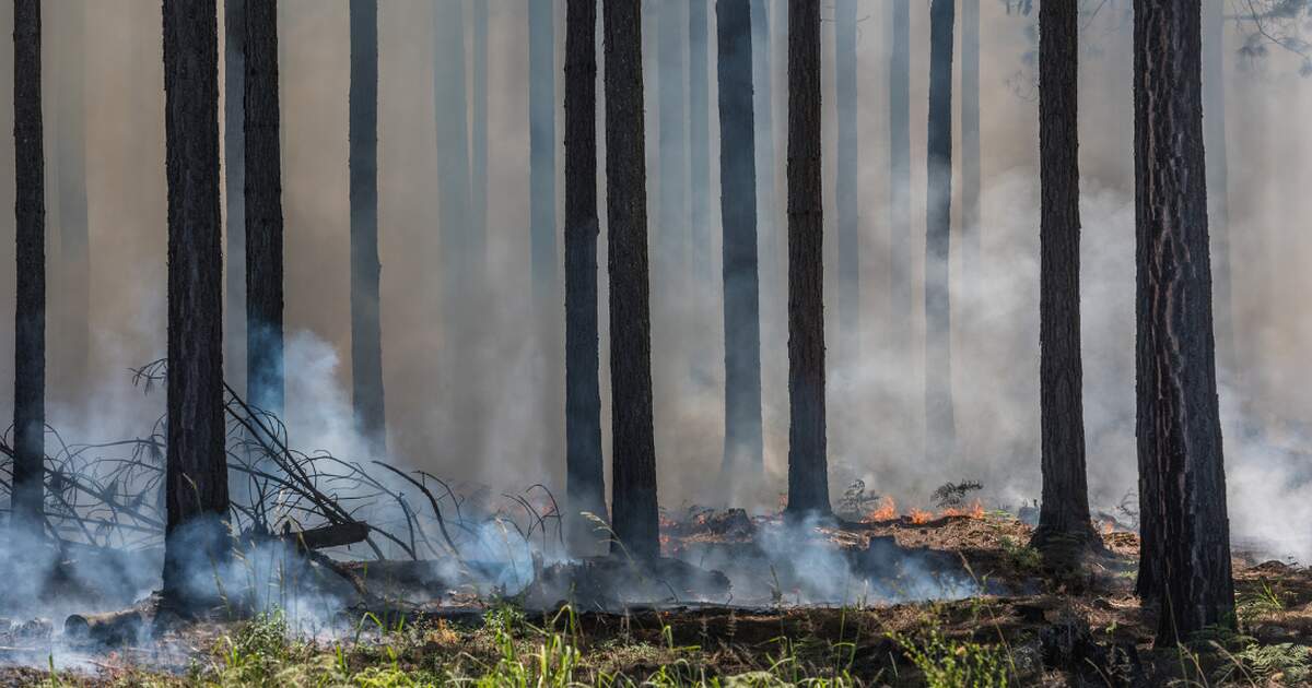 1000 evacuated as wildfire rages in northern Germany