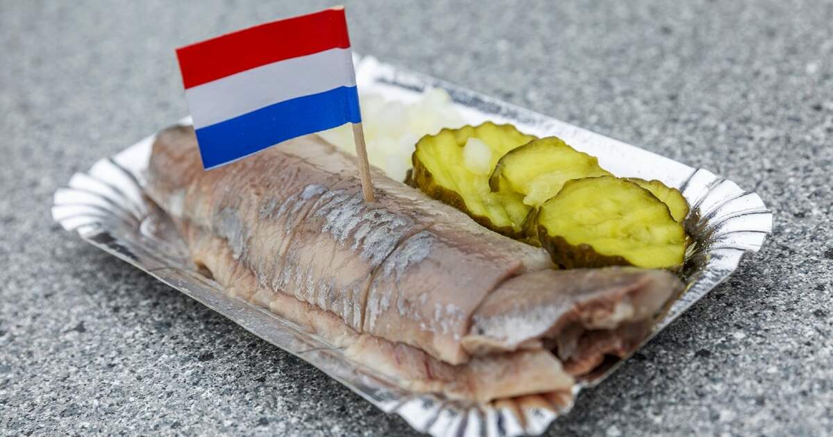 Ronde Somber ervaring Netherlands to donate first catch of herring to healthcare workers in NRW