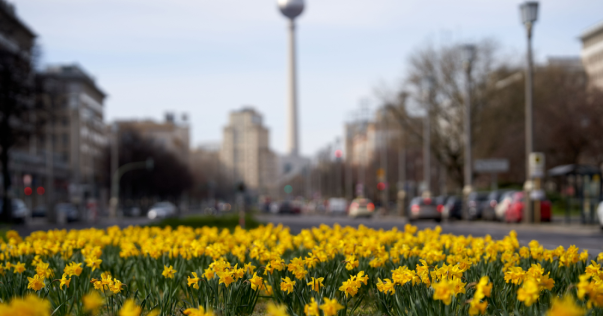 March 2024: 10 changes affecting expats in Germany
